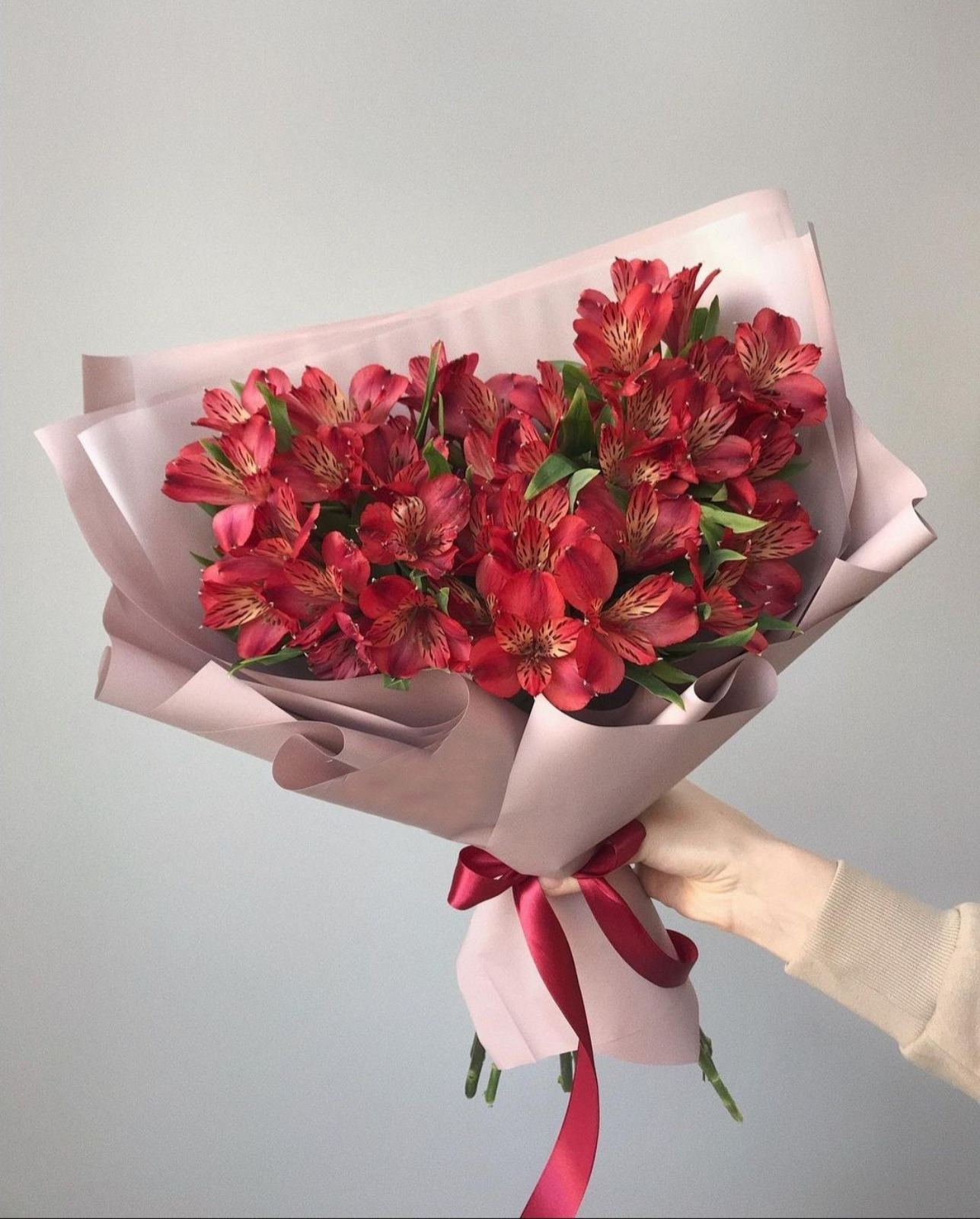 букет красных альстромерий букет красных альстромерий