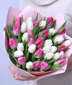 Bouquet of 35 tulips
